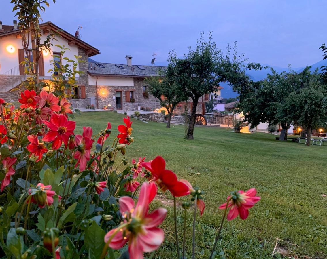 La Volta - Molino Maufet Mühle - Patio On The Garden *