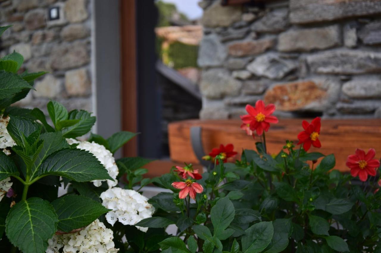 Ferienhaus La Volta - Molino Maufet Mühle - Patio On The Garden *