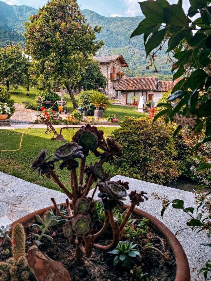 La Volta - Molino Maufet Mühle - Patio On The Garden * Colico